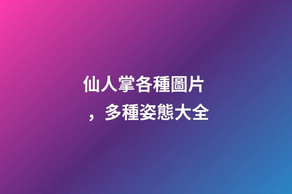 仙人掌各種圖片，多種姿態大全-第1張-觀點-玄機派